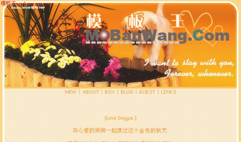 个人像素主页模板