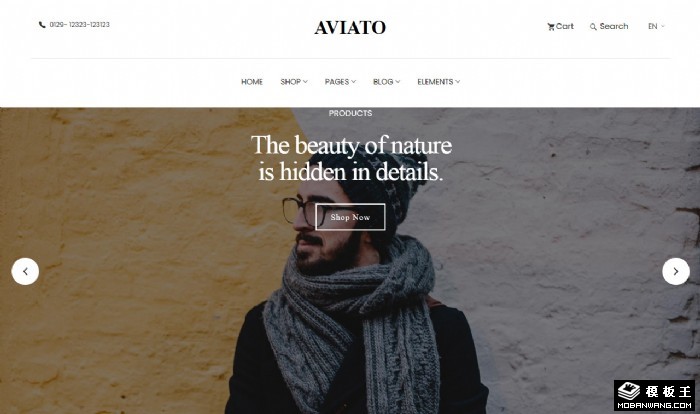 自然之美时尚服饰商城网站模板