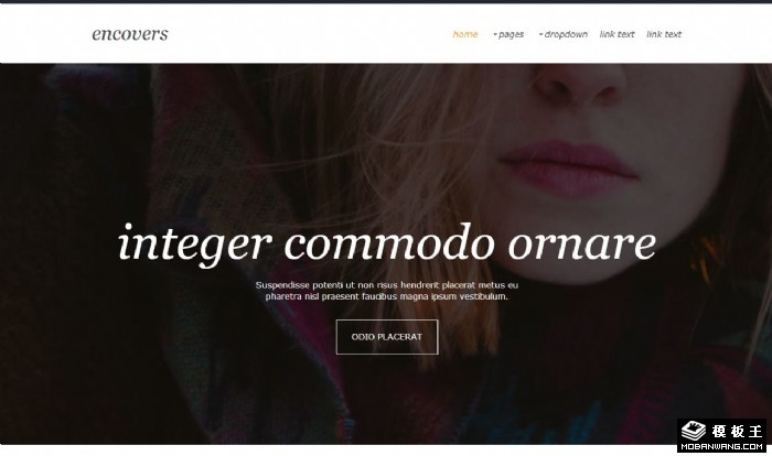 创意产品信息服务网页模板