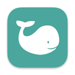 NAMO For Mac v2.0.1 本地DNS服务器工具