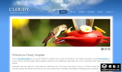 天空云产品动态网页模板