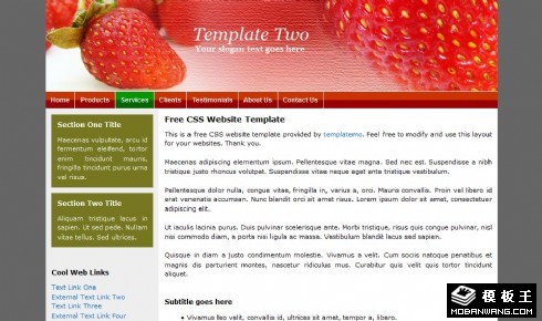 红色草莓EDM网页模板