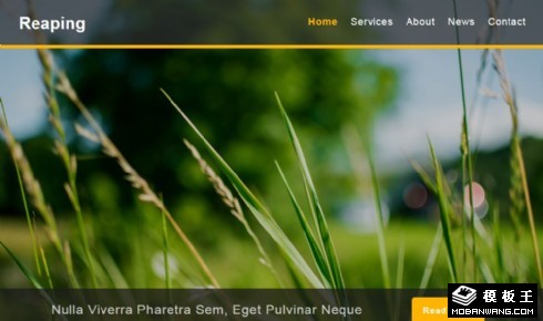 农业产品收成展示响应式网页模板