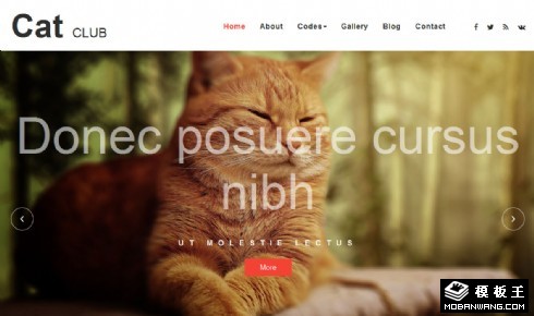 猫咪乐园响应式网页模板