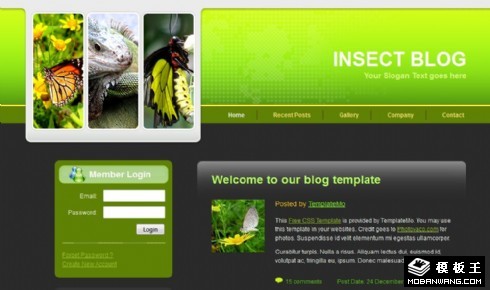 绿色昆虫生物BLOG网页模板