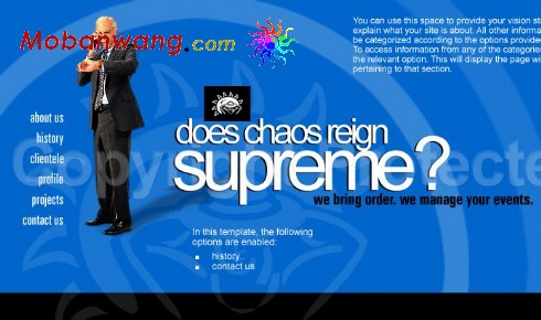 蓝色管理公司网站引导页模板