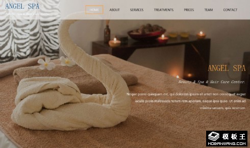 天使SPA美容响应式网站模板