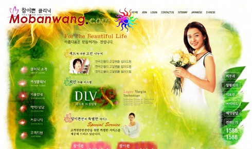 美丽健康生活网页模板