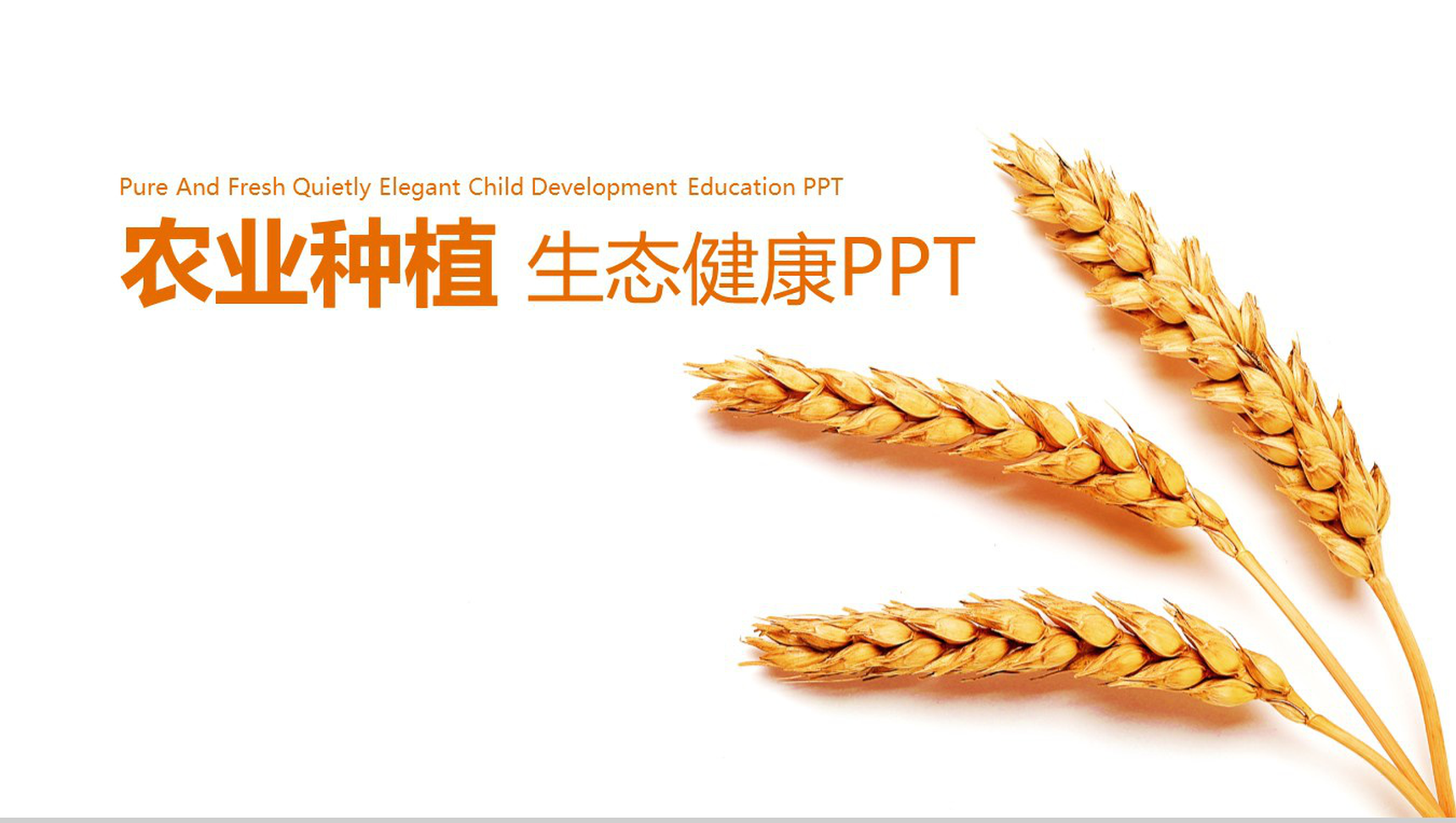 农业种植农产品推广展示PPT模板