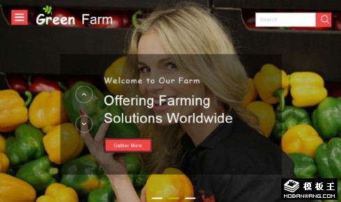 绿色果蔬农场产品展示响应式网页模板
