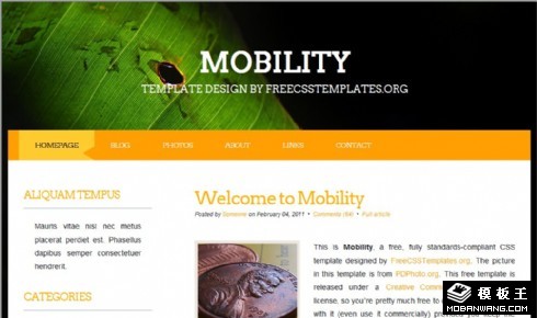 绿渊信息网页模板