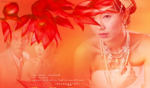 个人绣婚纱相册模板