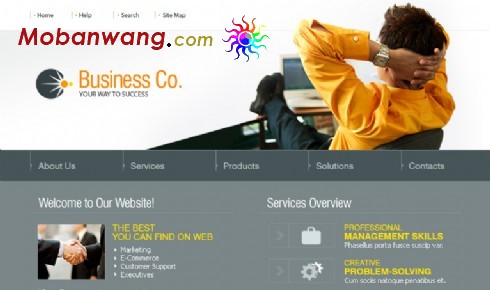 商业信息化公司网页模板