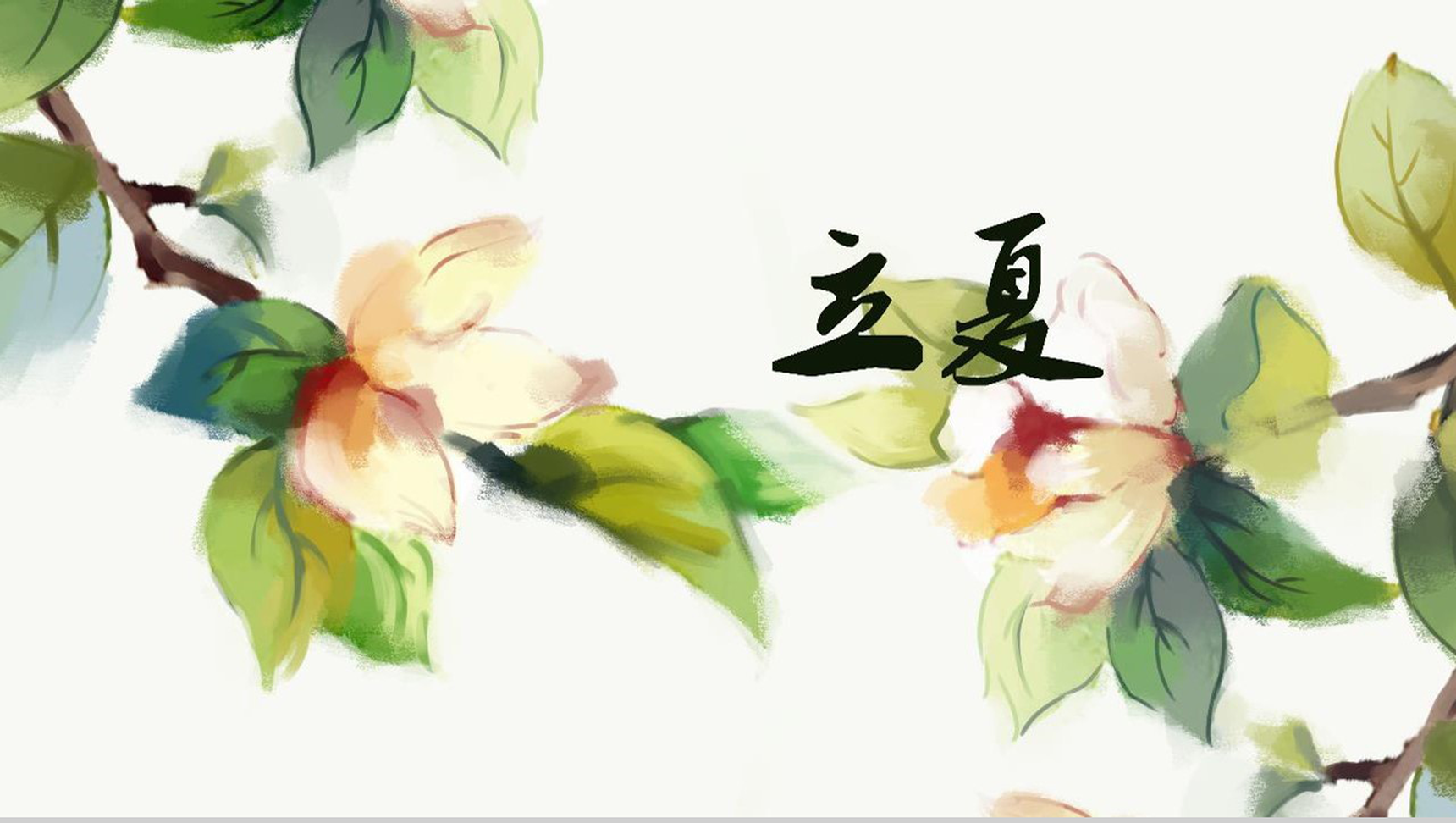 手绘清新立夏节气教育课件PPT模板