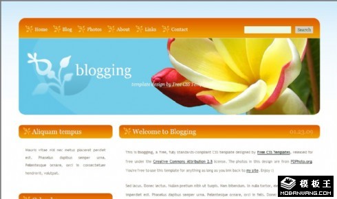 橙黄导航简单BLOG网页模板