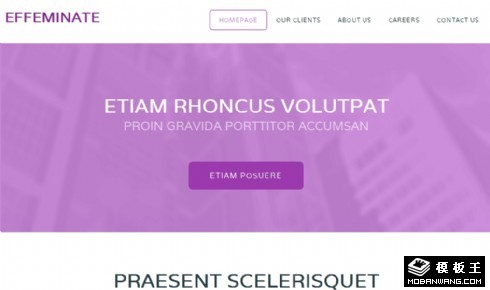 浅紫信息下载网页模板