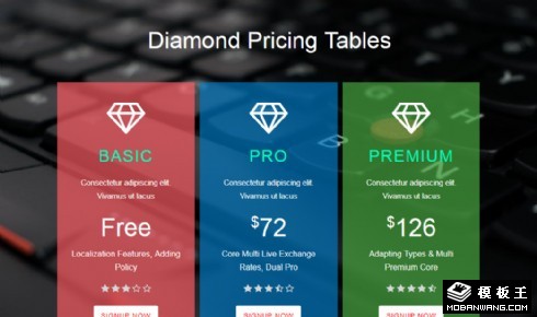 钻石会员价格列表响应式网页模板