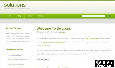 绿色解决方案BLOG网页模板