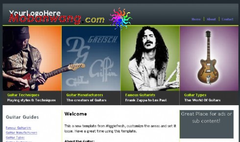 吉他乐器介绍网页模板