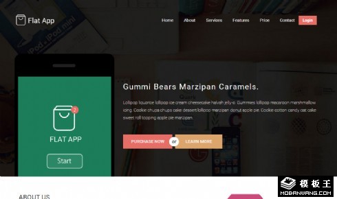 扁平风格APP介绍响应式网页模板