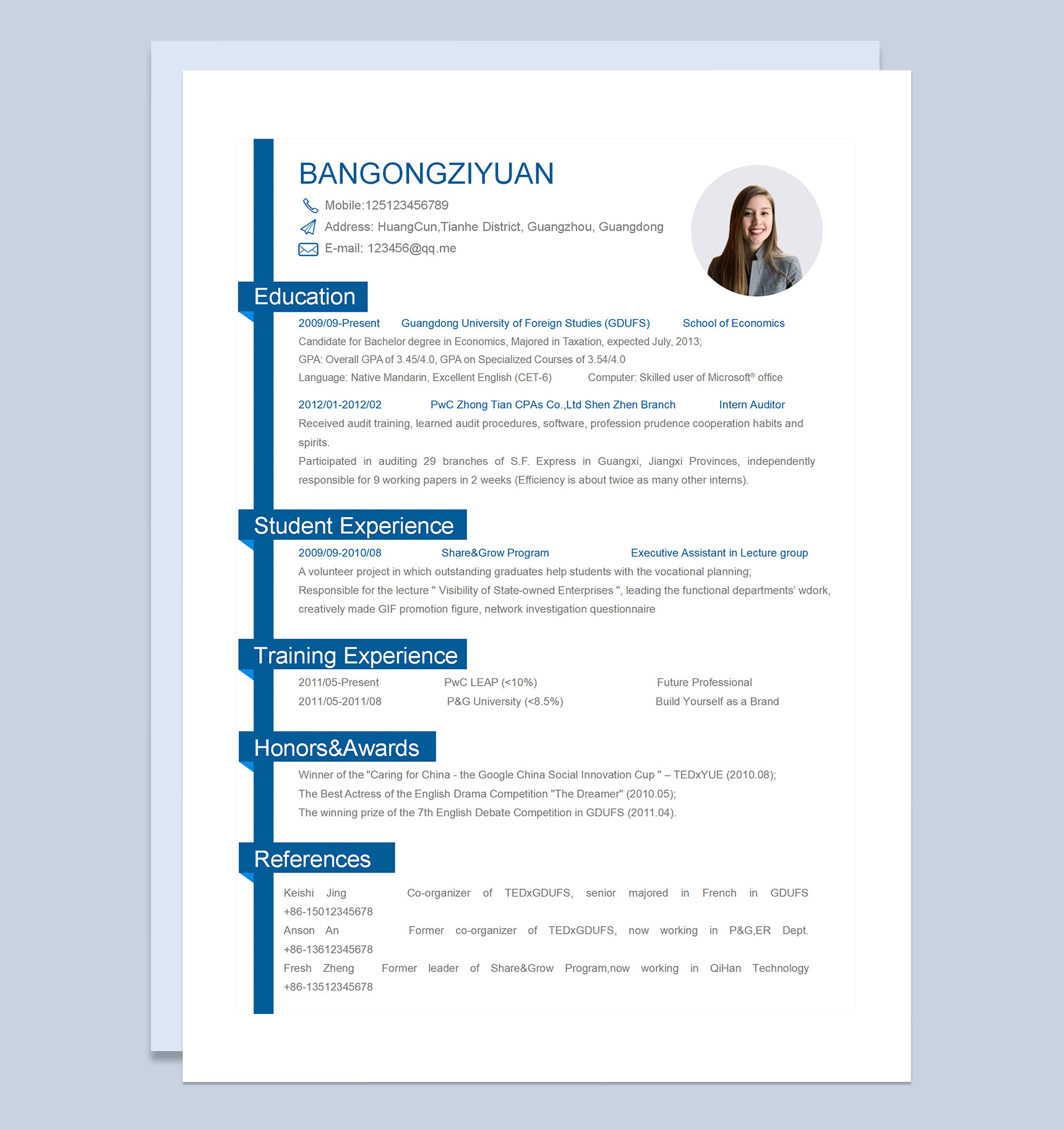 审计员通用的纯英文简历个人简历求职简历Word模板