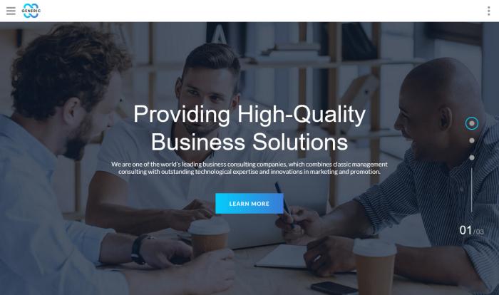 市场分析风险管理咨询网站模板