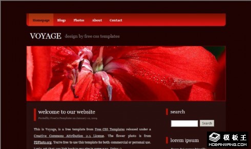 暗红色信息BLOG网页模板