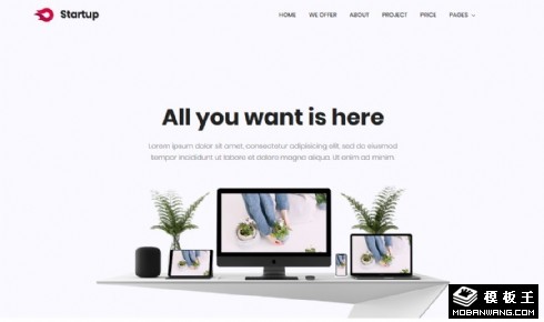 业务项目启动展示响应式网页模板