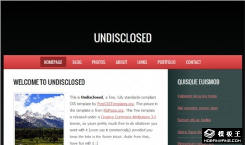 粉之黑网页模板