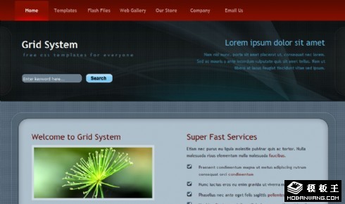数字信息服务介绍网页模板
