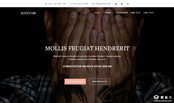 艺术创造展示网页模板