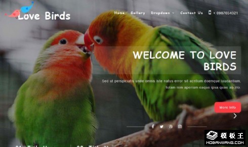 爱鸟服务中心展示响应式网页模板