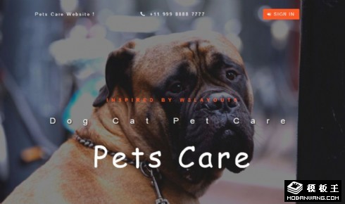 宠物护理服务响应式网站模板