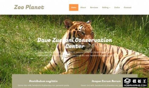 野生动物园响应式网页模板