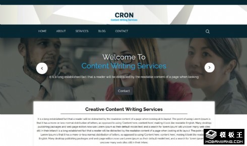 写作文案服务网页模板