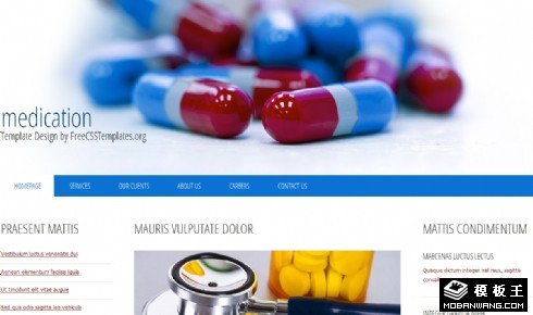 简洁生物制药公司网页模板