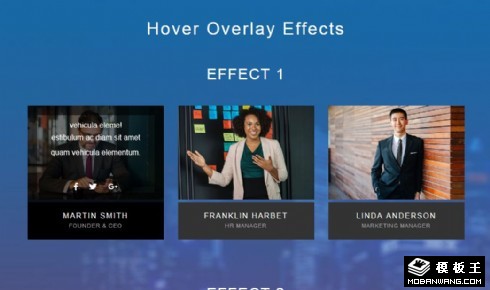 悬停覆盖图片列表响应式网页模板