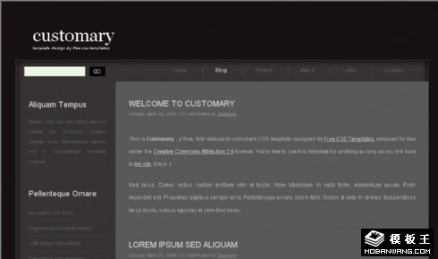 灰色常规BLOG网页模板