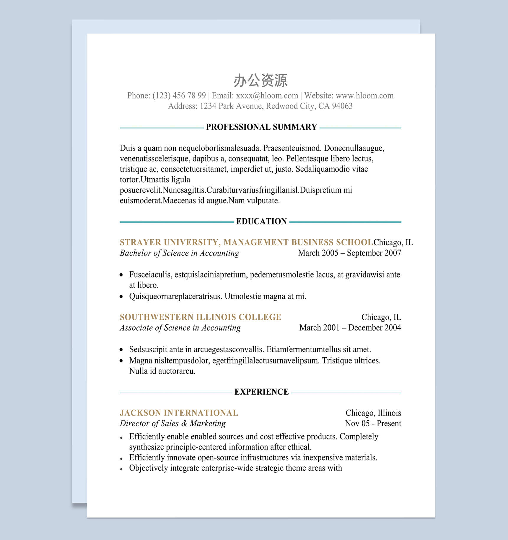 大气简洁word格式英文简历模板