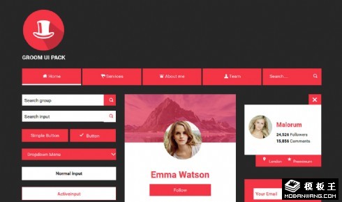 红色UIKIT工具包响应式网页模板