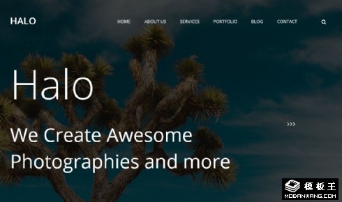 创意动态记录响应式网站模板