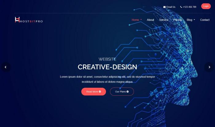 高速主机托管技术服务网站模板
