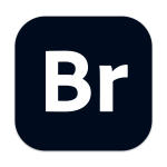 Adobe Bridge 2023 v13.0.4 Br中文Win版