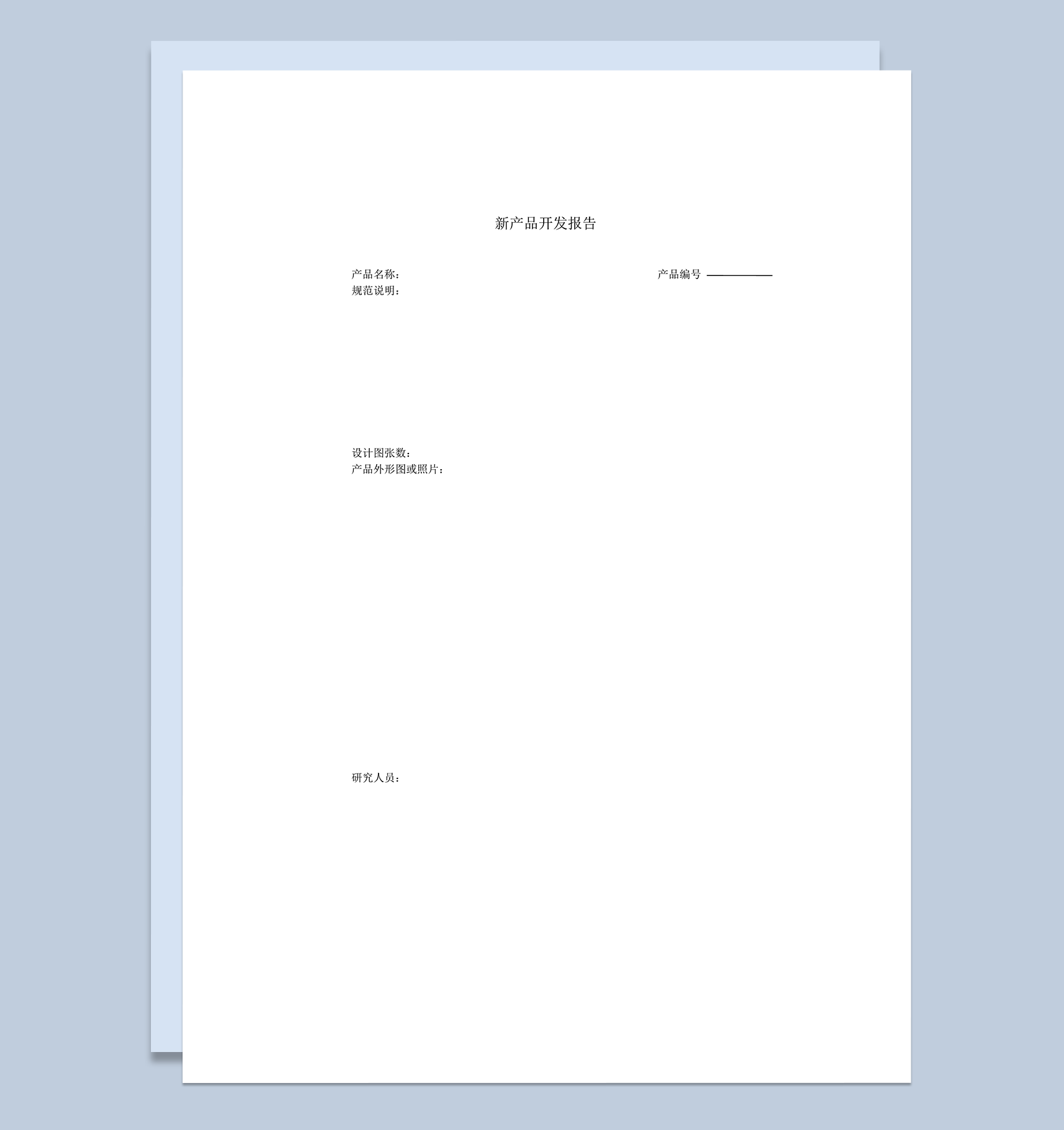 公司产品开发报告详情报告word模板