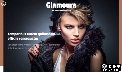 魅力时尚响应式网站模板