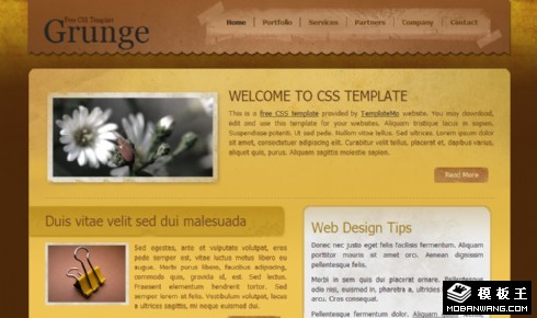 黄棕复古信息介绍网页模板