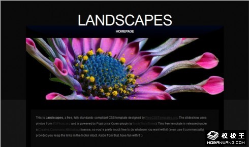 风景画信息网页模板