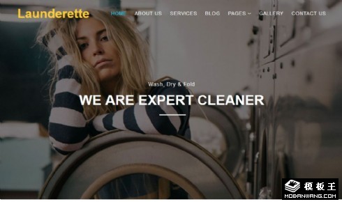自动洗衣店展示响应式网页模板