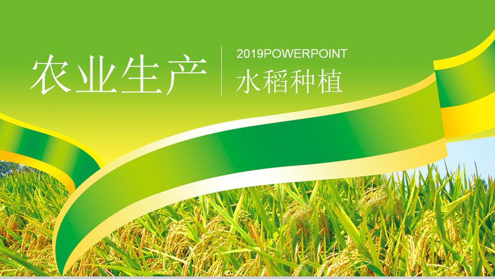 农产品生产水稻种植PPT模板