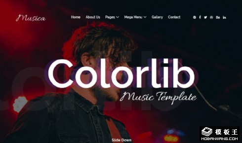 音乐表演活动现场响应式网站模板